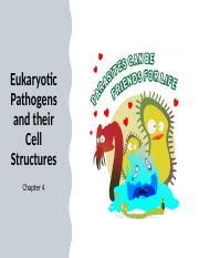 Micro Chp 4 students.pptx - Eukaryotic Pathogens and their Cell ...