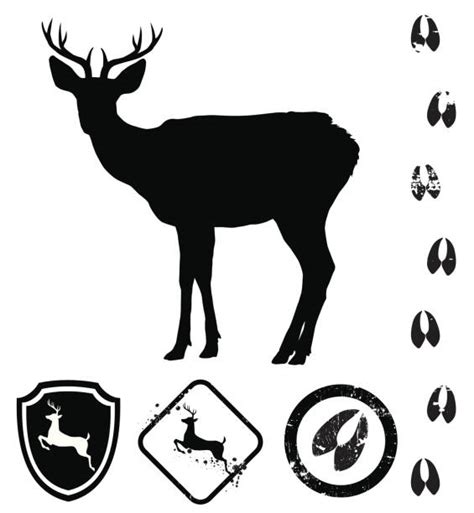1400 Deer Tracks Stock Illustrations Royalty Free Vector Graphics