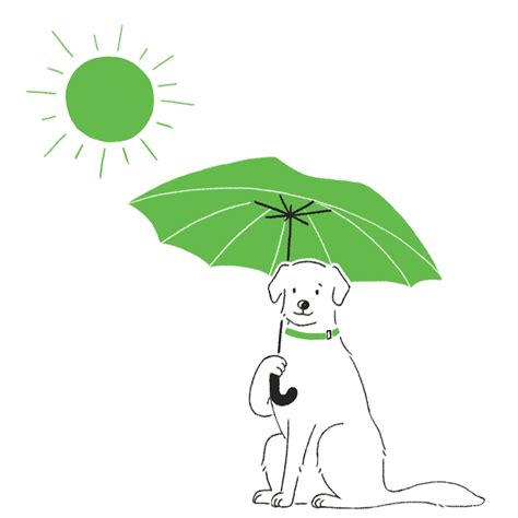 Ruffer | Investment Management | London, Edinburgh, Paris