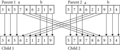 Diagram of two-point crossover of chromosomal genes. | Download Scientific Diagram