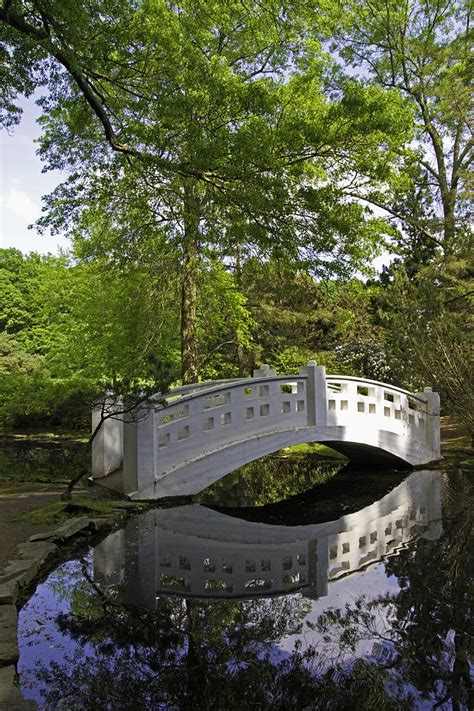 Oriental garden bridge Photograph by David Freuthal - Fine Art America