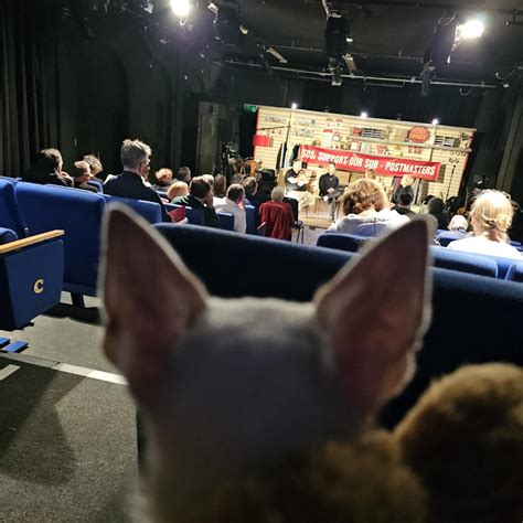 The Nala Fitness Scandal: What Happens Next? Image 17
