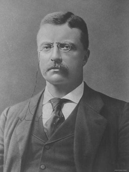 Postcard Of Theodore Roosevelt 26th President Of The Us Premium