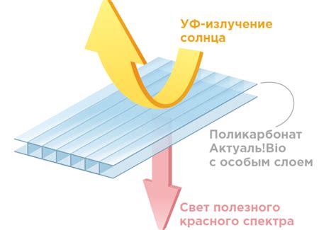 АКТУАЛЬ!Bio - сотовый поликарбонат для теплиц с УФ-защитой и БИО-слоем