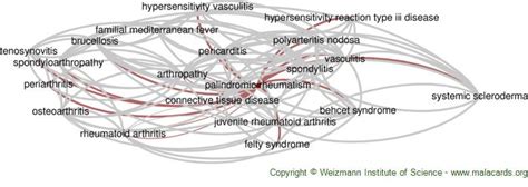 Palindromic Rheumatism Disease Malacards Research Articles Drugs