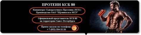 КСБ - 80. Концентрат Сывороточного Белка. | Официальный представитель ...