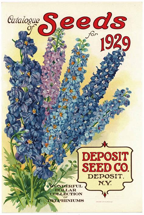 Vintage Seed Packets 1900 1940 Page 3 Thelabelman