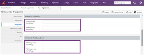 Dados De Integra O Mundipagg V Digital Commerce Linx Share