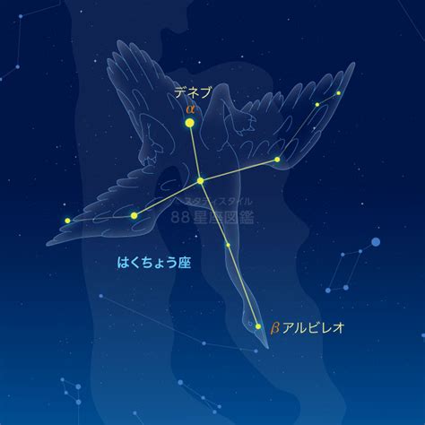 夏の星座の見つけ方｜やさしい88星座図鑑