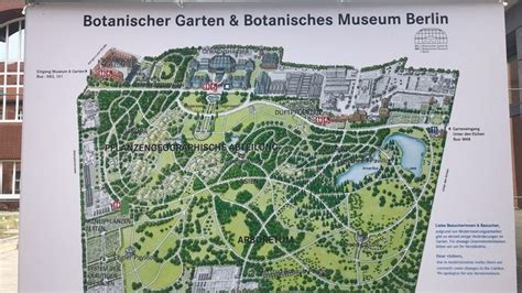 Berlin Botanical Garden – Berlin, Germany - Atlas Obscura