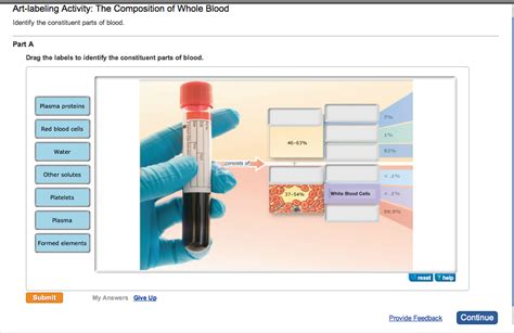 Solved Art-labeling Activity: The Composition of Whole Blood | Chegg.com