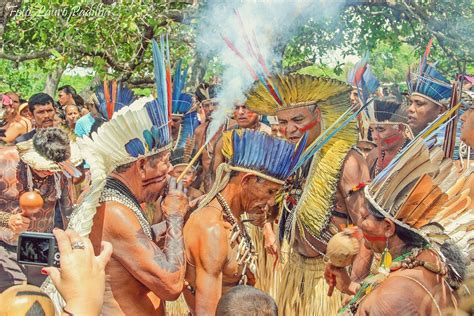 Sobre Os Povos Indígenas Brasileiros Assinale O Que For Correto