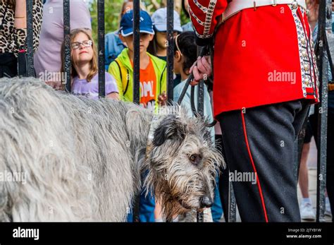 Irish Guard And Mascot Hi Res Stock Photography And Images Alamy