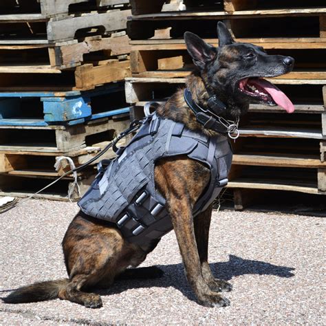 Nomad Ballistic Body™ Complete Set K9 Harness Ray Allen Manufacturing