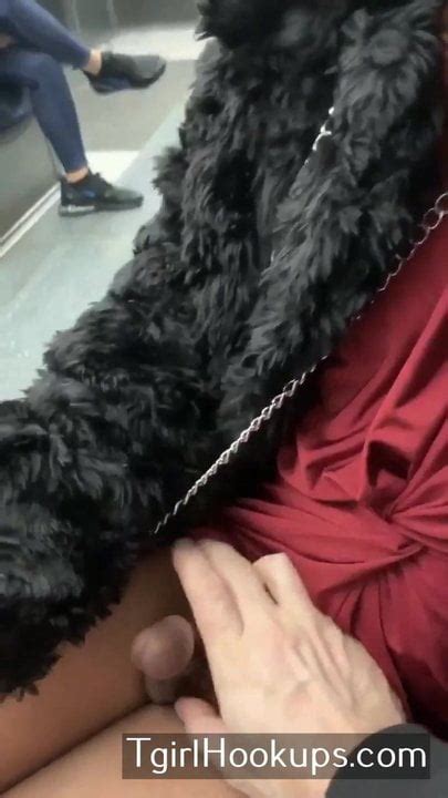 Horny Tranny Slut XHamster