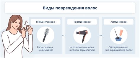 Восстановление структуры волос: способы и средства для восстановления ...