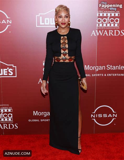 Meagan Good Sexy Shows Off Her Hot Tits At The 14th Annual AAFCA Awards