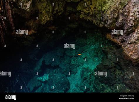 Pond In A Cave In The National Park El Choco Near Cabarete Dominican