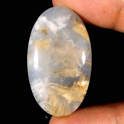 Tiger Dendritic Agate Natural Unique Oval Cabochon Cts Loose