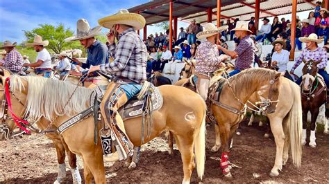 BOCA DE RIVERA VILLANUEVA ZACATECAS COLEADERO 2024 YouTube