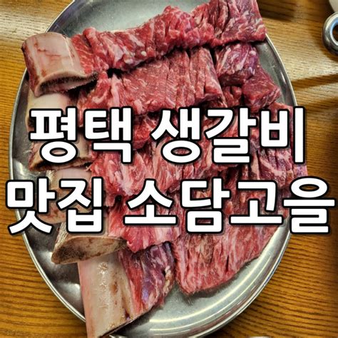 평택 생갈비 맛집 소담고을평택 팽성 네이버 블로그