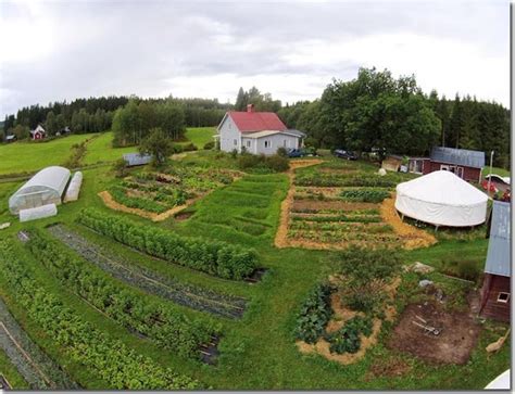 Setting Up A Permaculture Farm The Permaculture Research Institute