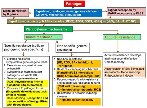 Advances In Plant Tolerance To Biotic Stresses Intechopen