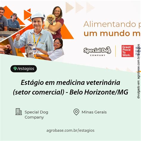 Estágio em medicina veterinária (setor comercial) - Belo Horizonte/MG ...
