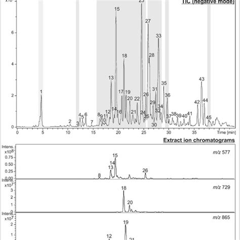 Total Ion Chromatogram And Extract Ion Chromatograms M Z Pcypcy