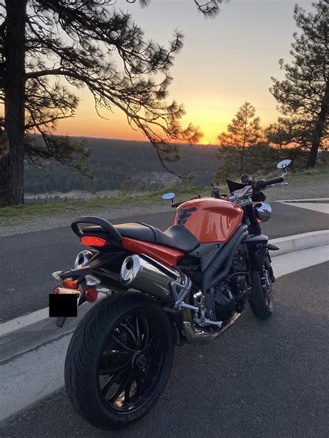 Best Triumph Speed Triple Images On Pholder Triumph Bikesgonewild And Motorcycle Porn