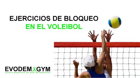 Total Imagen Ejercicios De Bloqueo Voleibol Viaterra Mx