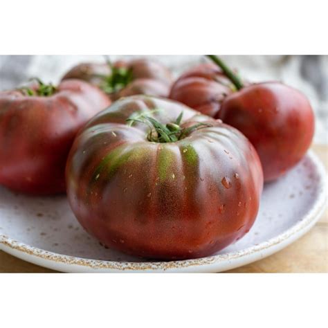 Heirloom Tomato Black Krim Potted Tomatoes