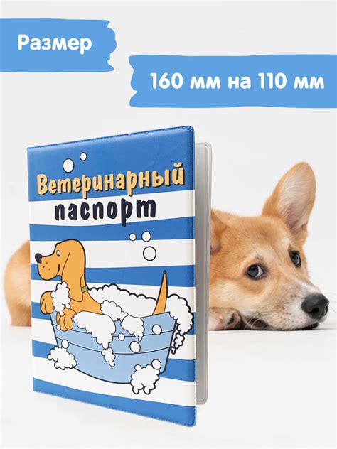 Обложка на ветеринарный паспорт ПВХ "Полосатый" - Стрекоза