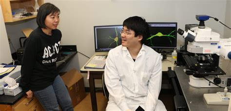 Fragile X Research How Close Are We To A Cure • Fraxa Research