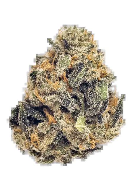 Super Runtz Cannabis Strain Information - GrowDiaries