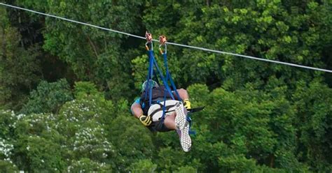 Puerto Rico The Monster Zip Line Toro Verde Adventure Park GetYourGuide