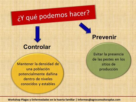 Control De Plagas Y Enfermedades En La Huerta Blog Acp Acp