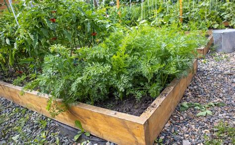 Top 18 Best Inexpensive Raised Garden Bed Ideas Diy For Low Cost Cheap And Budget Friendly Tips