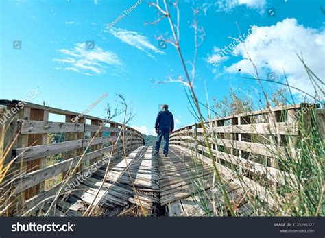 walk bridge images stock  vectors shutterstock