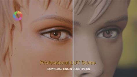 5 Professional LUT Styles Seguracine For The Most Demanding Of