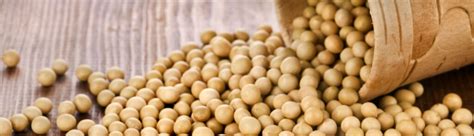 soja gebruik bij vleesproductie vleesnl