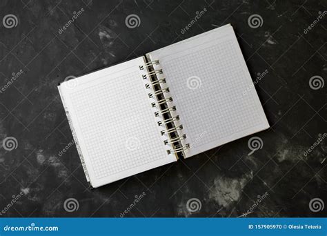 Blank White Notebook With Spring Stock Photo Image Of Creature
