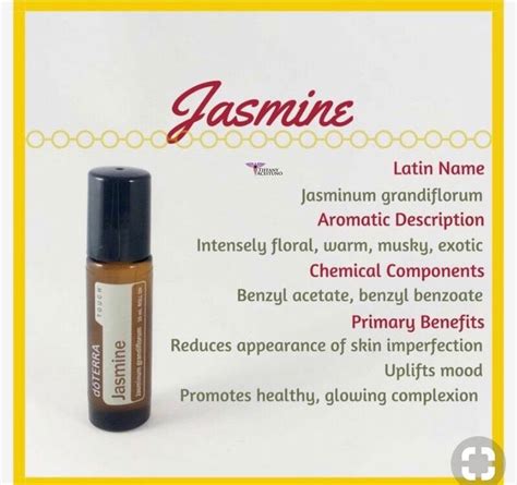Pin by Kristen Cruz on doTERRA | Essential oils collection, Jasmine oil ...