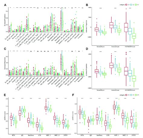 Level Of Immune Cell Infiltration In Various Molecular Subtypes A