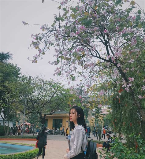 Nhan sắc lai Tây vạn người mê của hot girl trường Đại học Thương mại Hà Nội Hot Girl Streamer