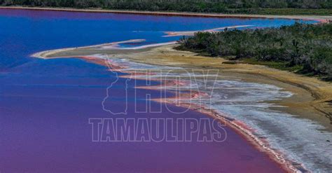 Hoy Tamaulipas Foto Del Dia Laguna Rosa