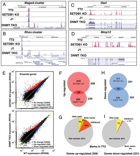 dna methylation  setdbhkme regulate predominantly distinct sets