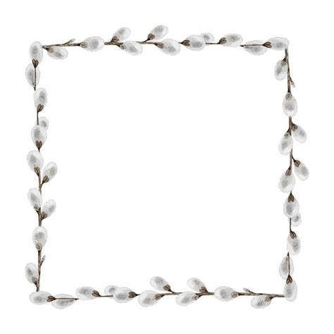 Square Frame Of Pussy Willow Branches Eco Decoration Watercolor Illustration Template For