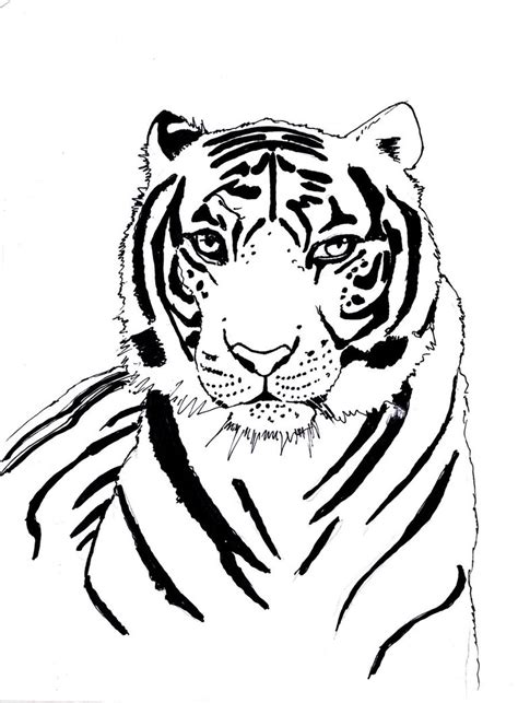 Tiger Line Drawing at GetDrawings | Free download