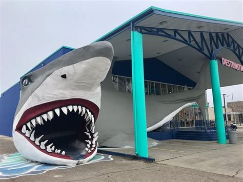 Destination Beach And Surf Port Aransas All You Need To Know Before